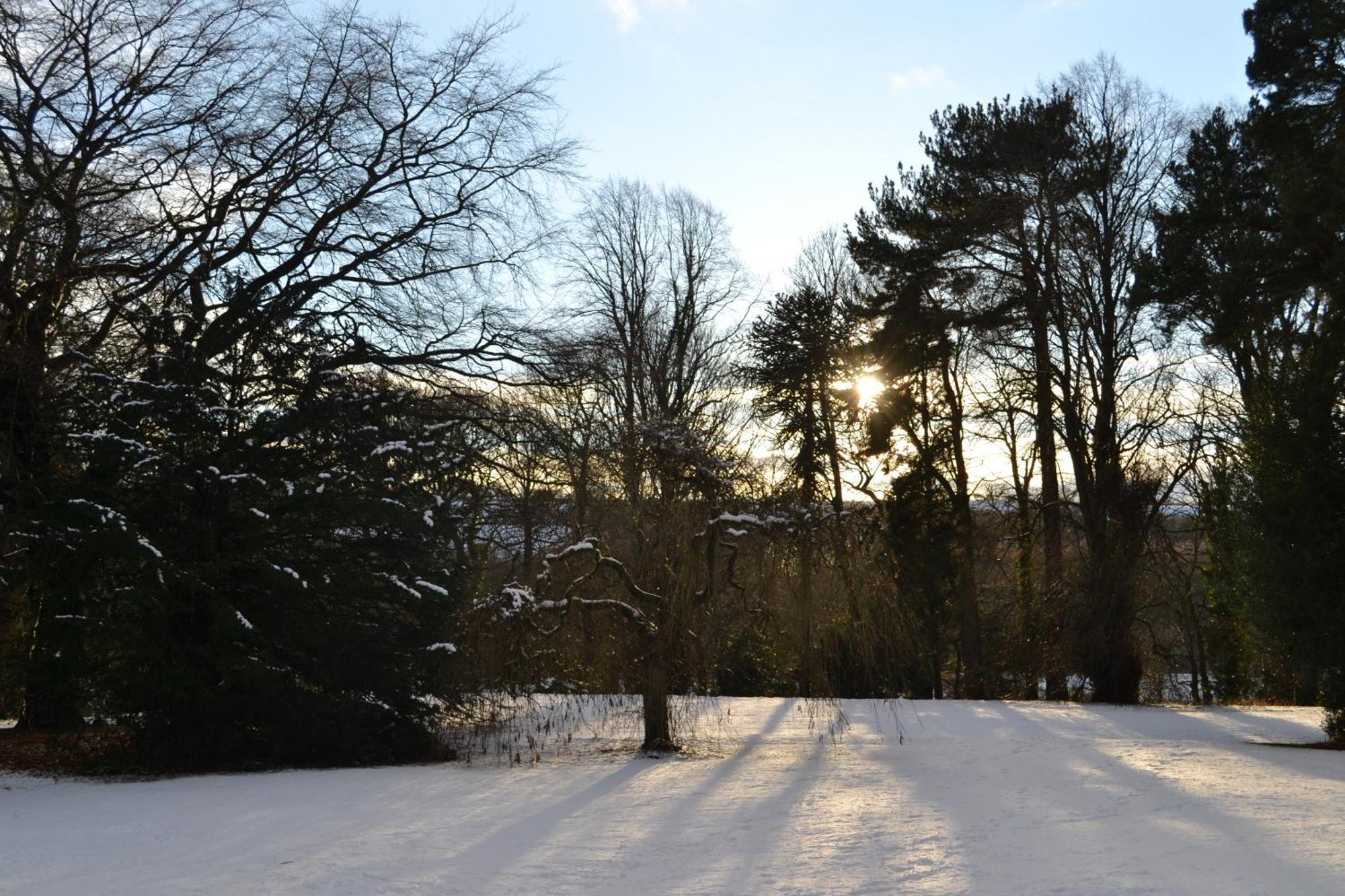 Burnhopeside Hall Lanchester Zimmer foto