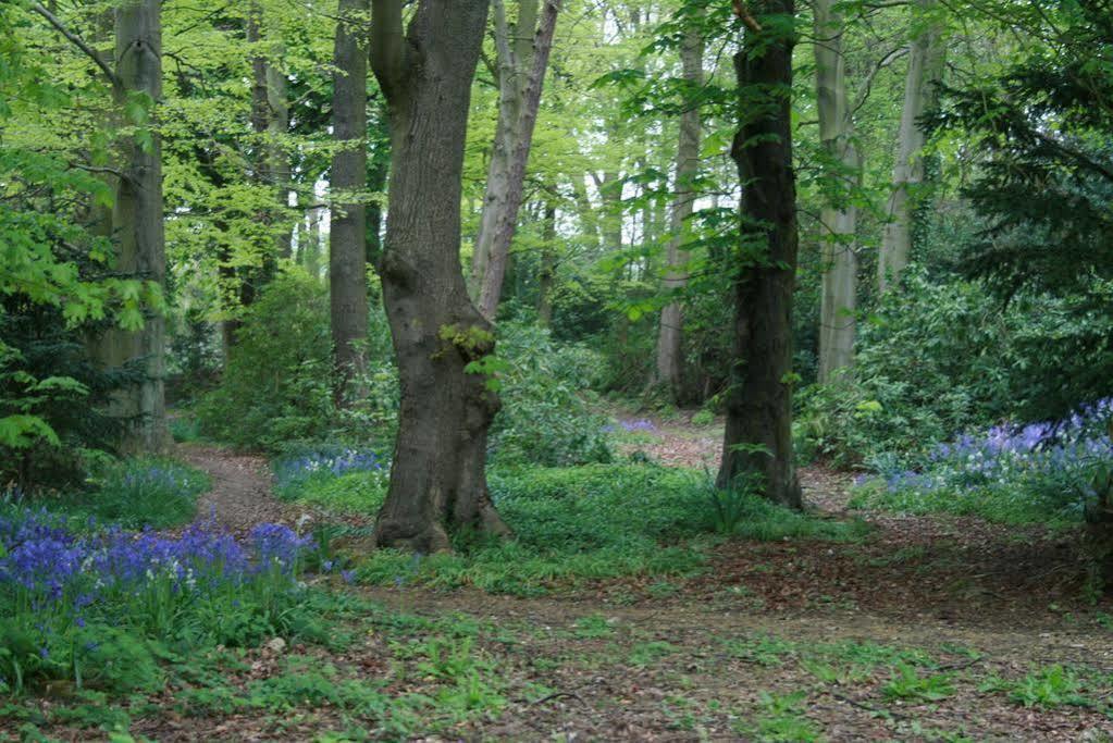 Burnhopeside Hall Lanchester Exterior foto